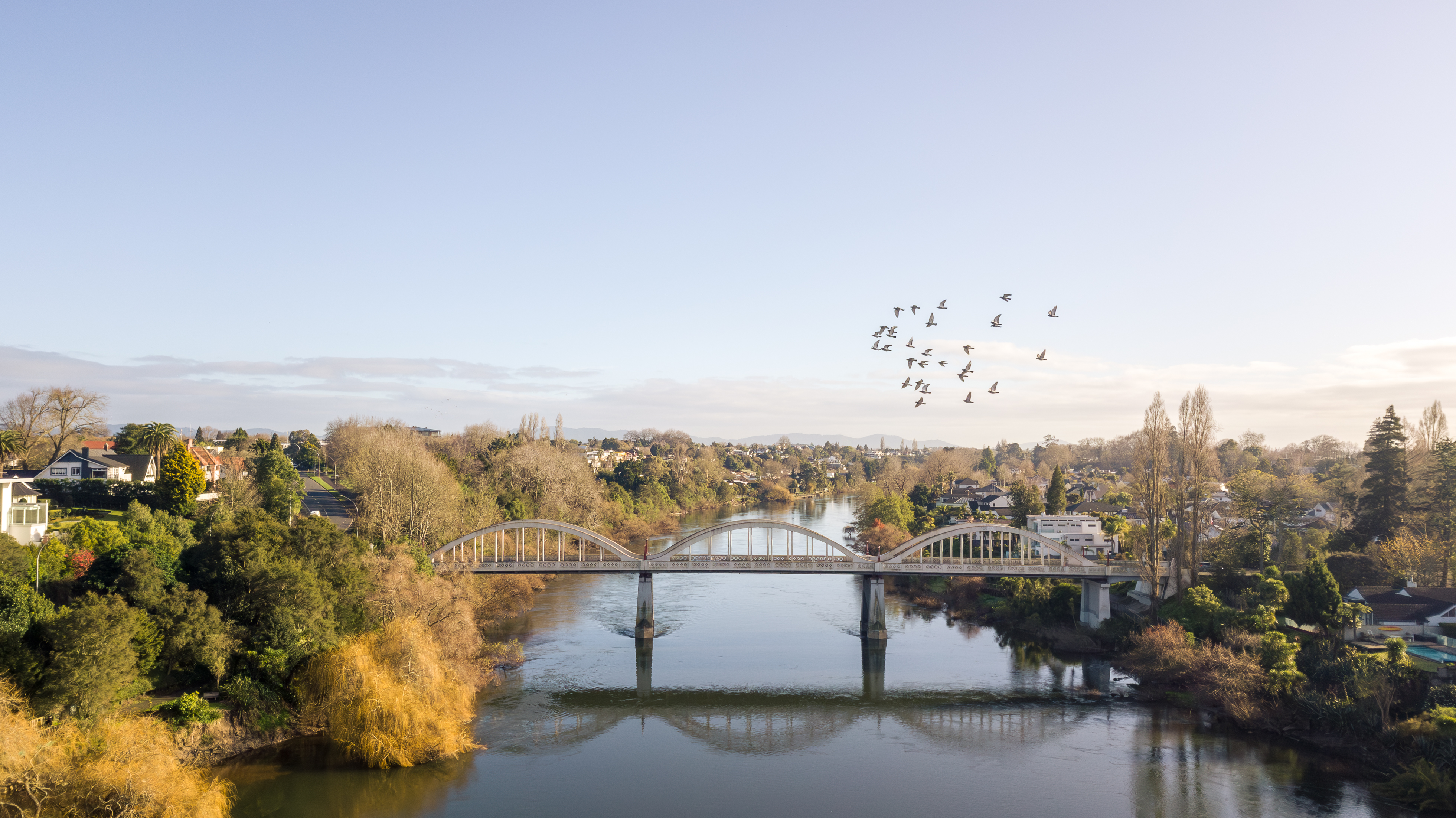 Fairfield Bridge in Hamilton New Zealand with a flock of birds flying in front of the camera at sunrise Fairfield Bridge in Hamilton New Zealand with a flock of birds flying in front of the camera at sunrise