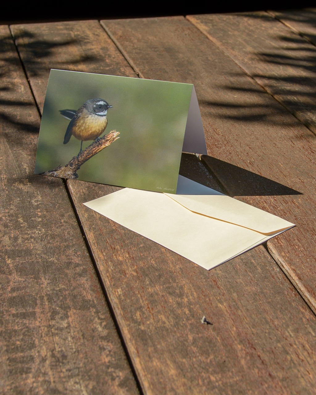 Fantail Wildlife Greeting Cards - New Zealand Bird Photography