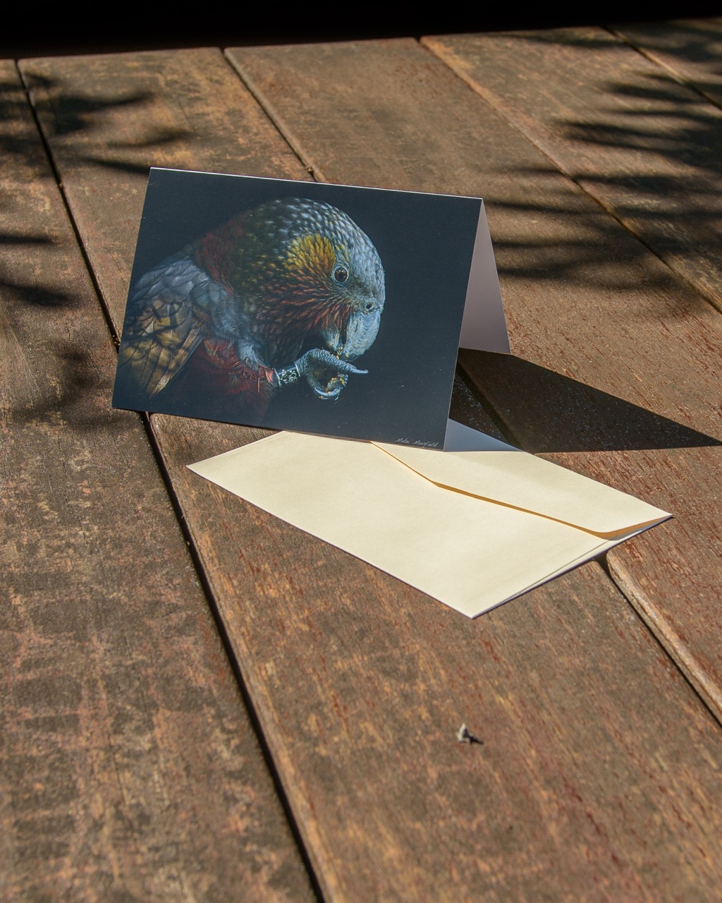 Kaka Wildlife Greeting Cards - New Zealand Bird Photography